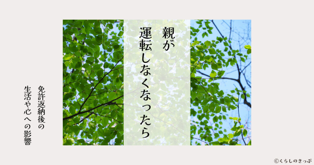 免許返納の影響　トップ画像